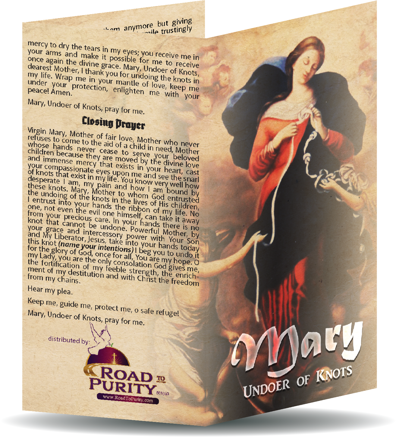 Mary Undoer of Knots novena  - Prayer Card / 3" x 6" folded (c)