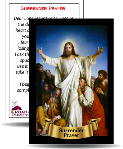 Surrender Prayer - Holy Card / 2 1/4"x 3 1/2" (b) (C)