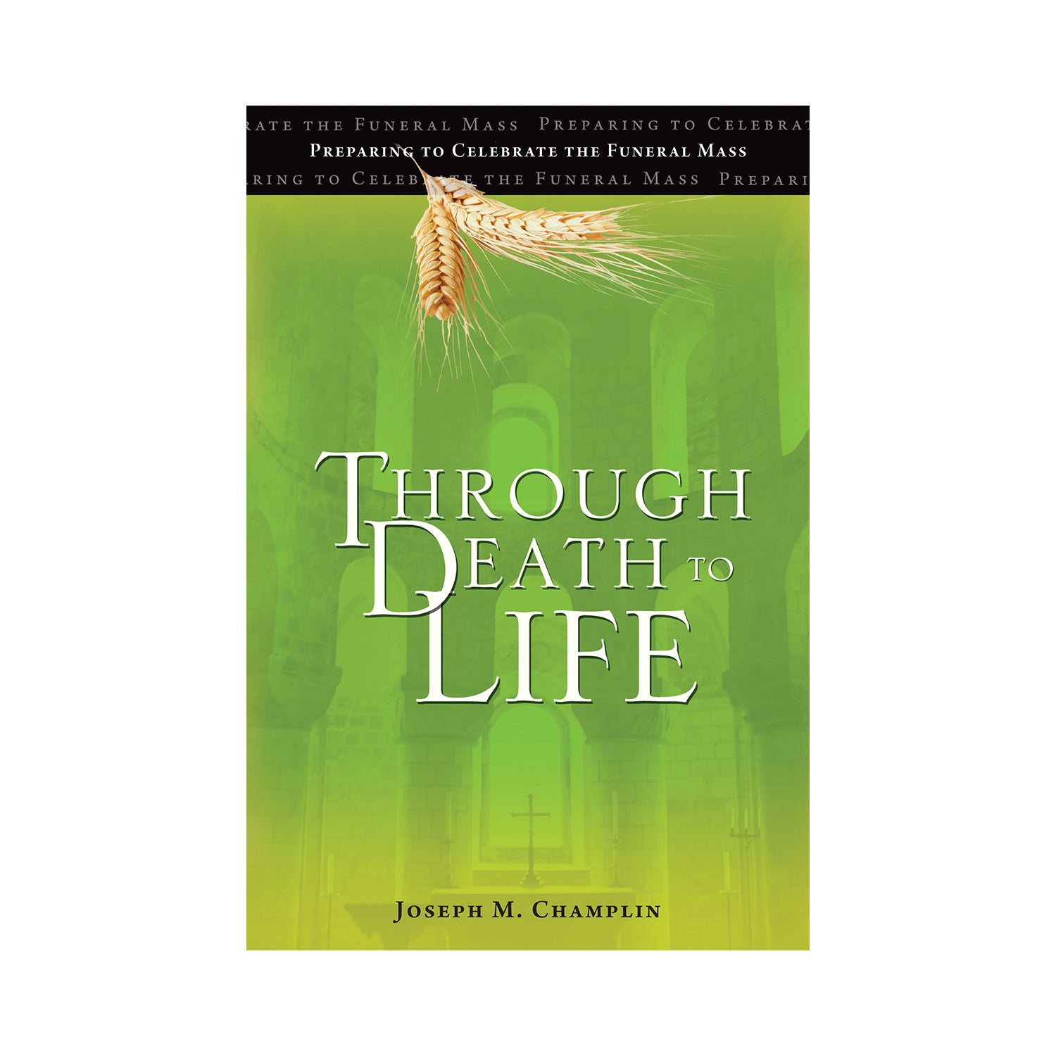 Through Death to Life (Revised, Paperback)