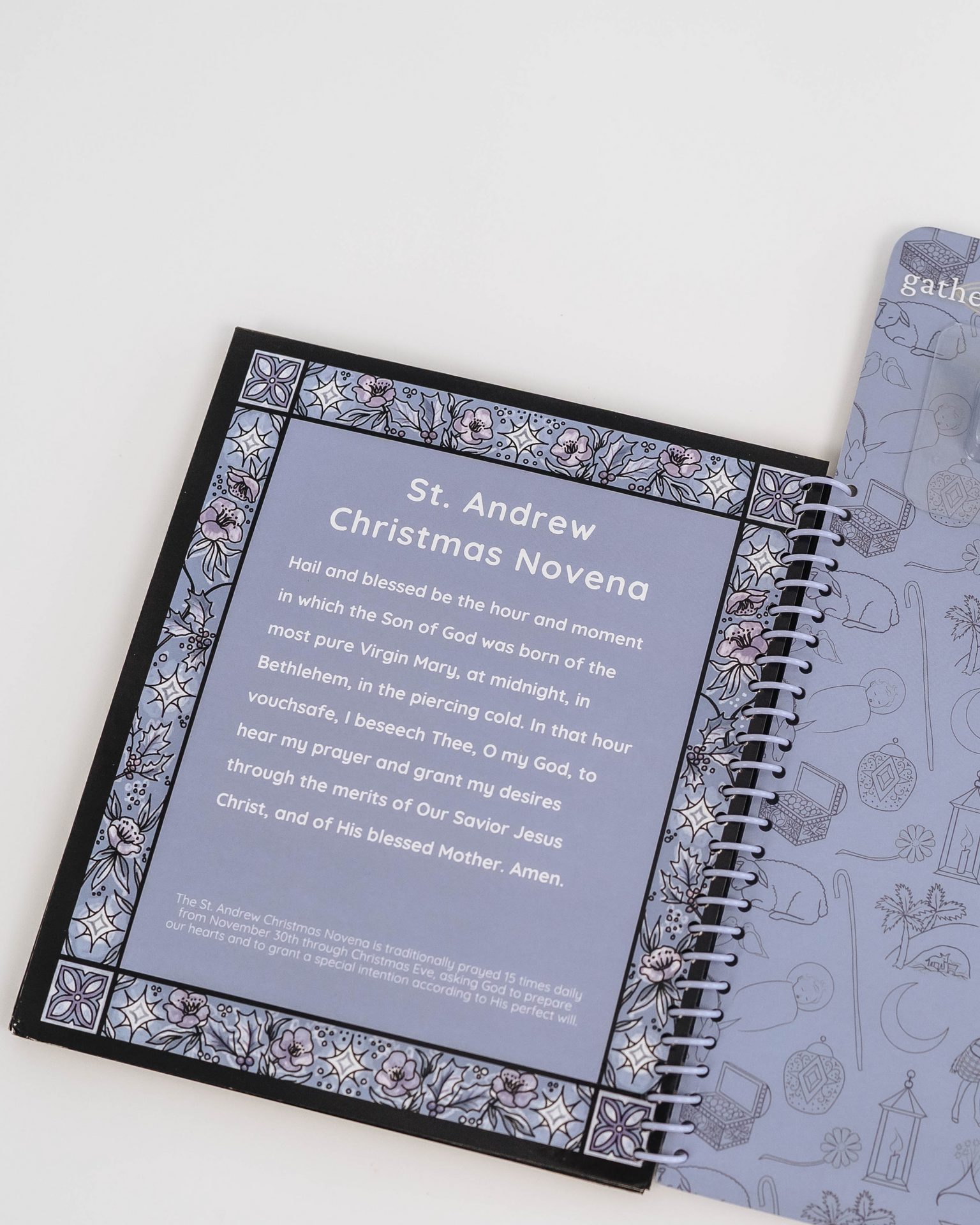 The First Christmas Water Reveal