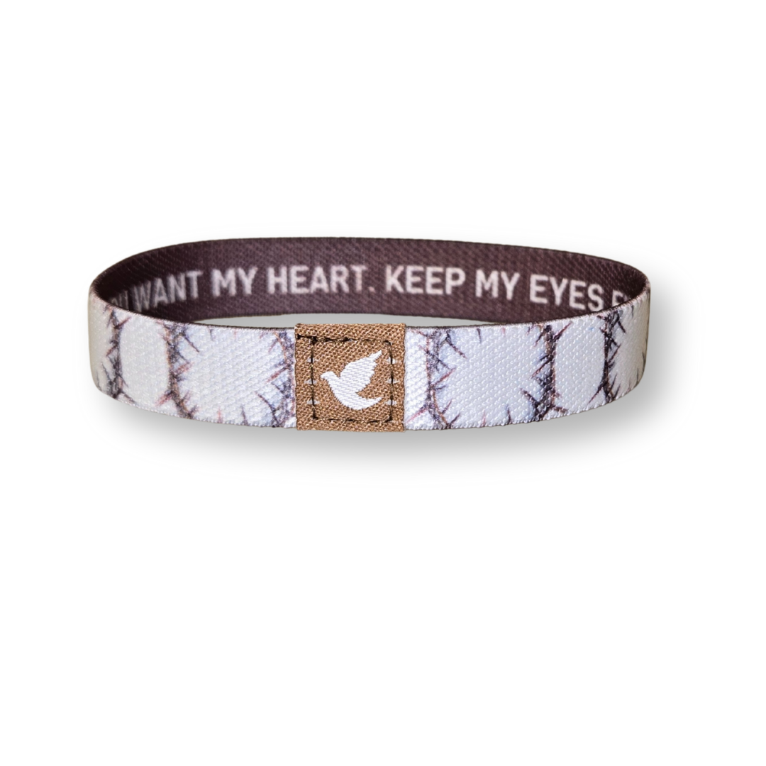 You Want My Heart Mens TruthBand
