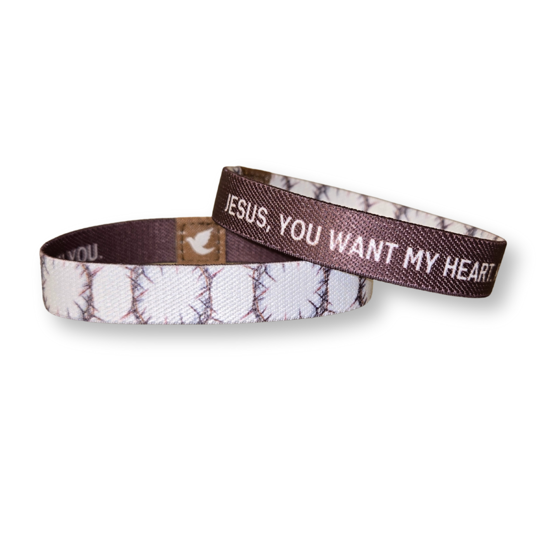 You Want My Heart Mens TruthBand