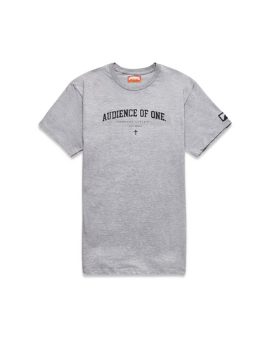 "AO1" T-SHIRT SPORT GREY