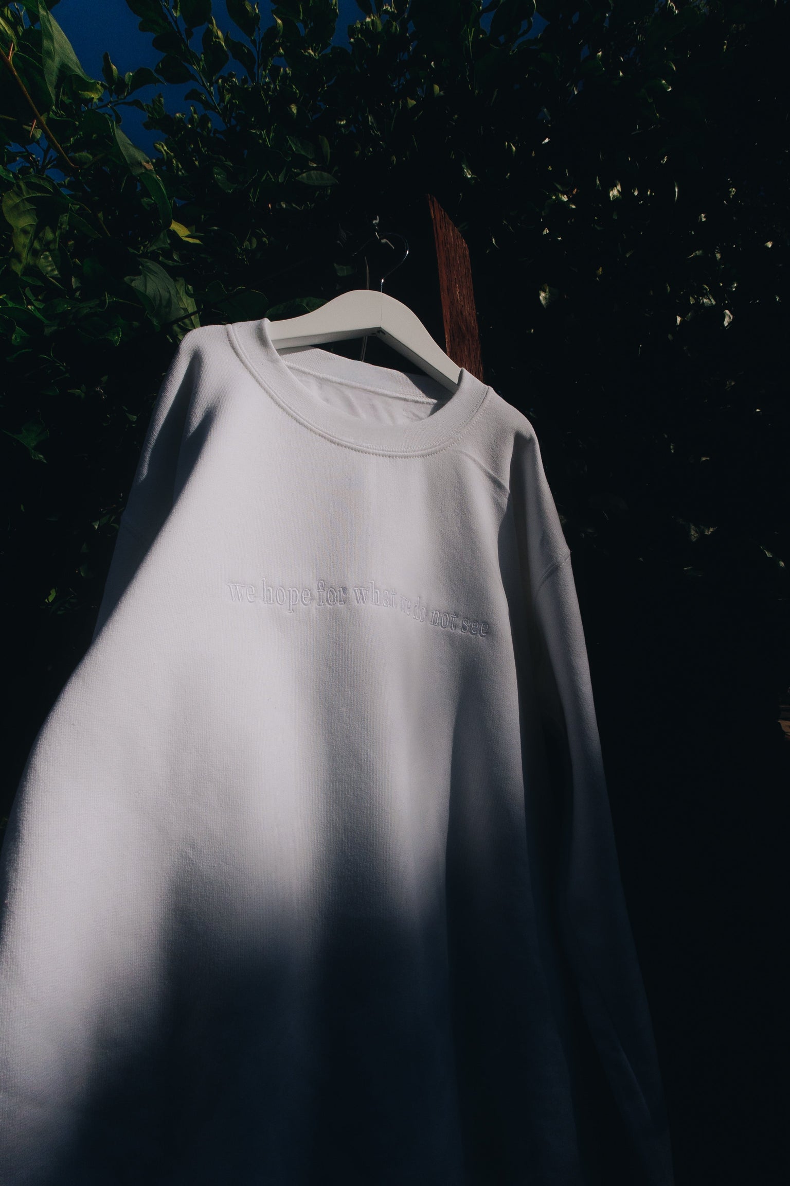 We Hope for What We Do Not See Crewneck Sweatshirt