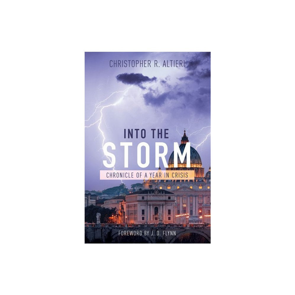 Into the Storm: Chronicle of a Year in Crisis