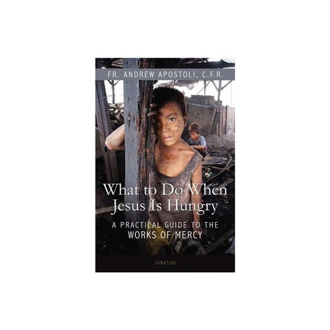What to Do When Jesus Is Hungry: A Practical Guide to the Works of Mercy