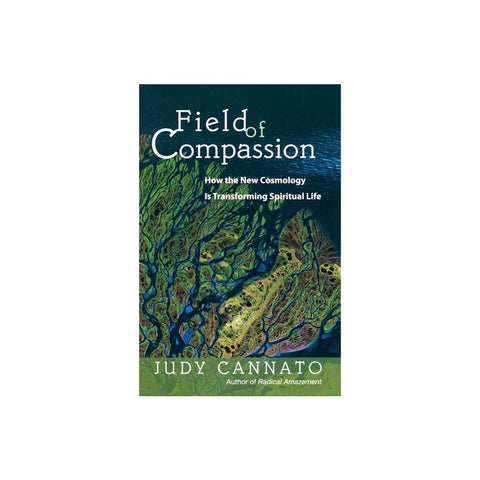 Field of Compassion: How the New Cosmology Is Transforming Spiritual Life