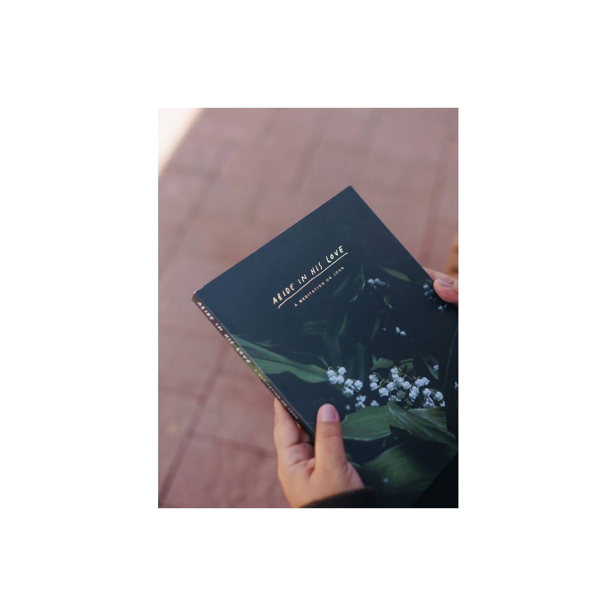 Catholic Bible Study: The Gospel of John // Abide in His Love