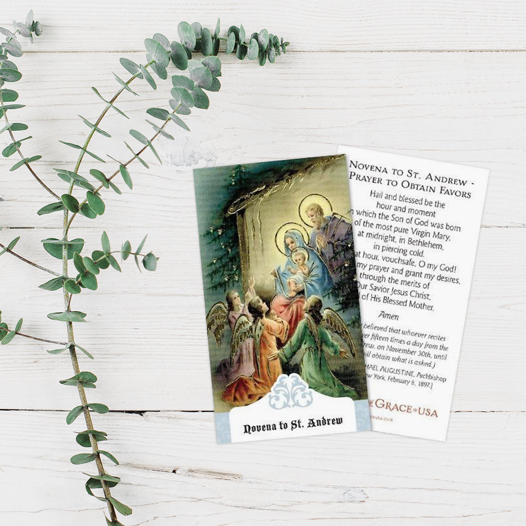 Novena to St. Andrew / Prayer to Obtain Favors Holy Card
