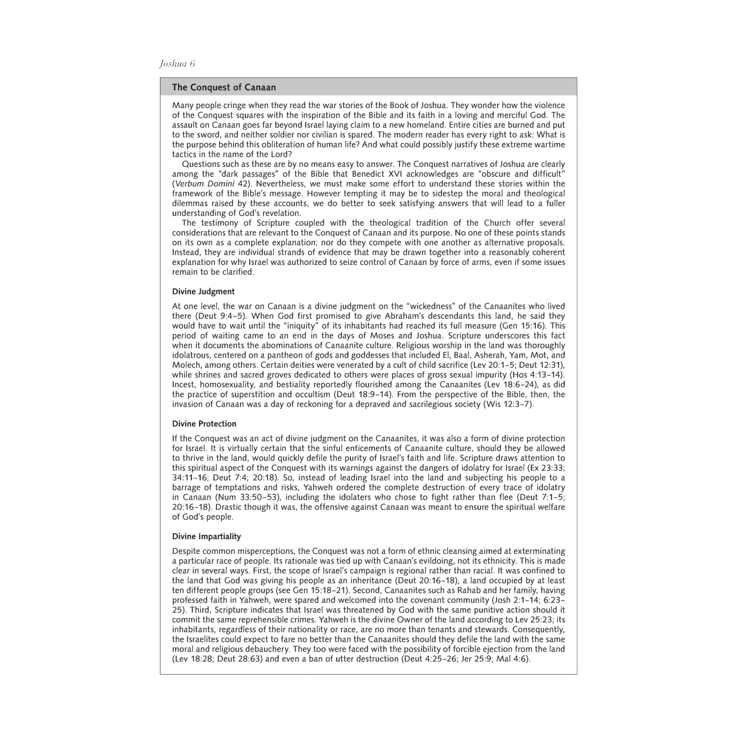 Ignatius Catholic Study Bible Old And New Testaments Leather ignatius-catholic-study-bible-old-and-new-testaments-leather