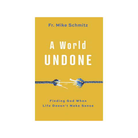 A World Undone: Finding God When Life Doesn't Make Sense
