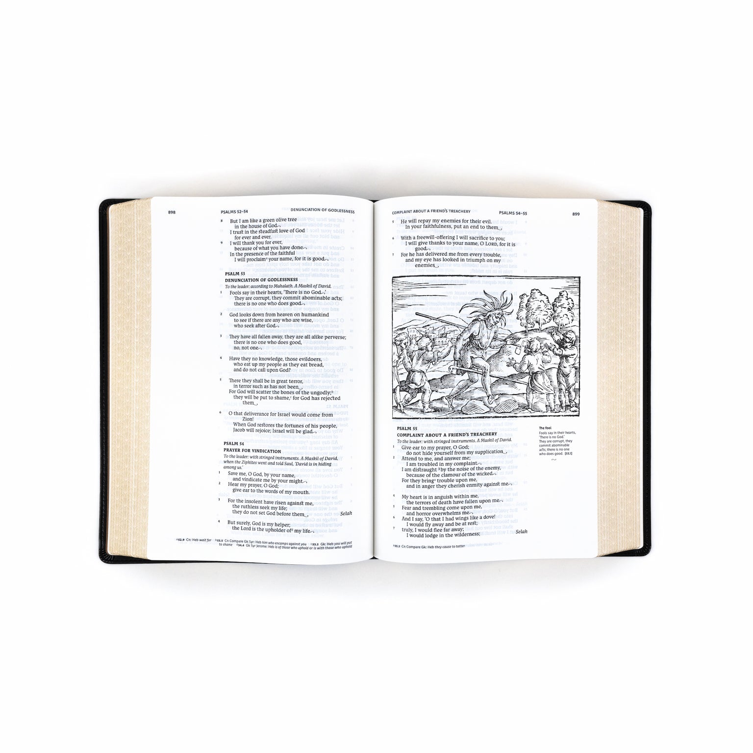 Holy Bible - Illustrated Catholic - Leathersoft