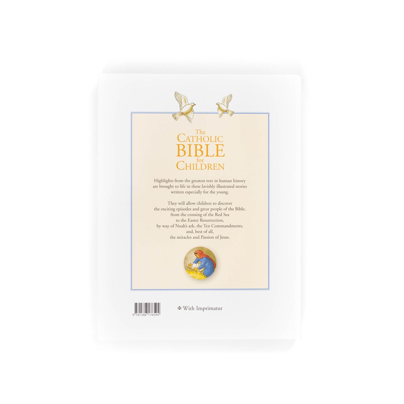 The Catholic Bible for Children
