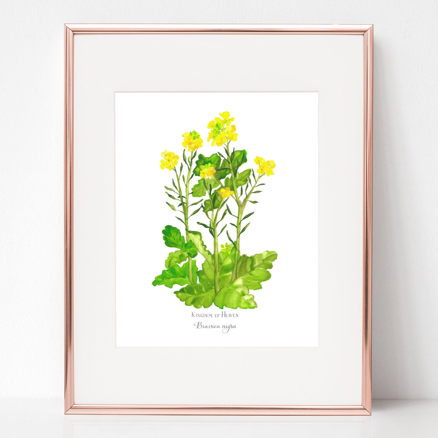 The Proclamation of the Kingdom of God, Brassica nigra Print