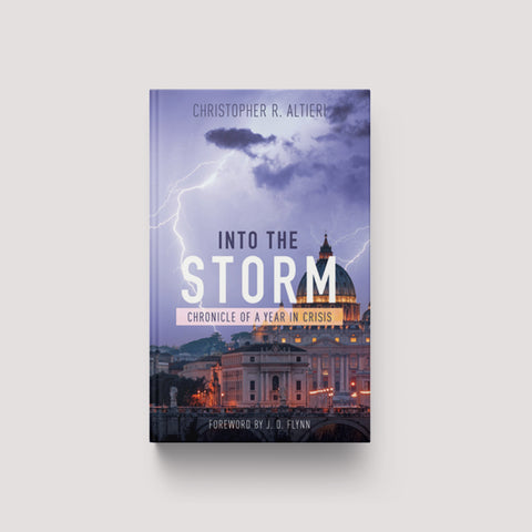 Image for Into the Storm