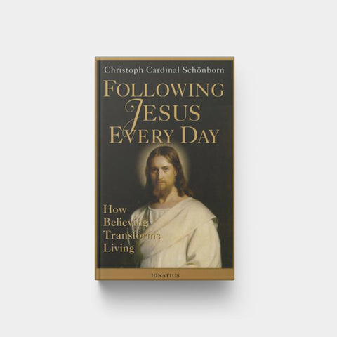 Image for Following Jesus Every Day