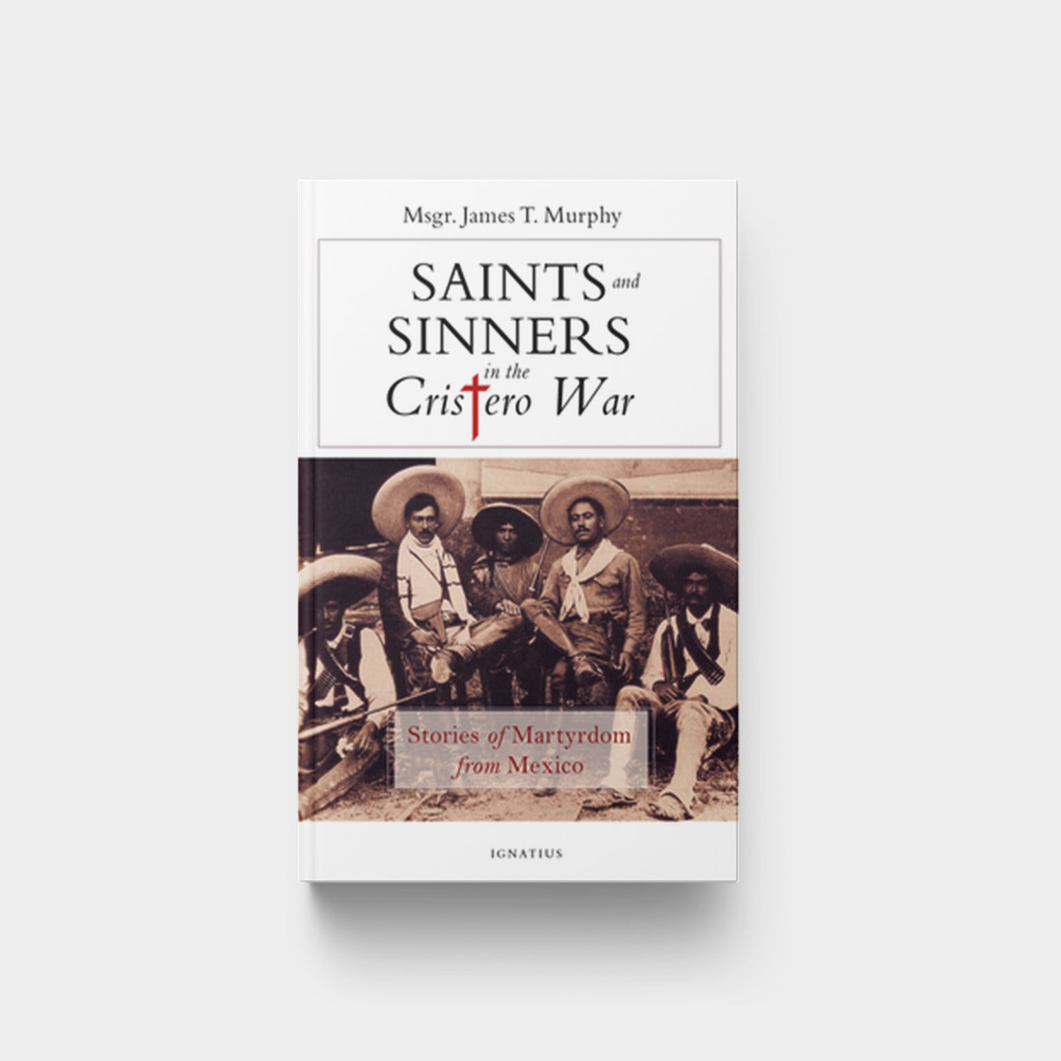 Image for Saints & Sinners in the Criste