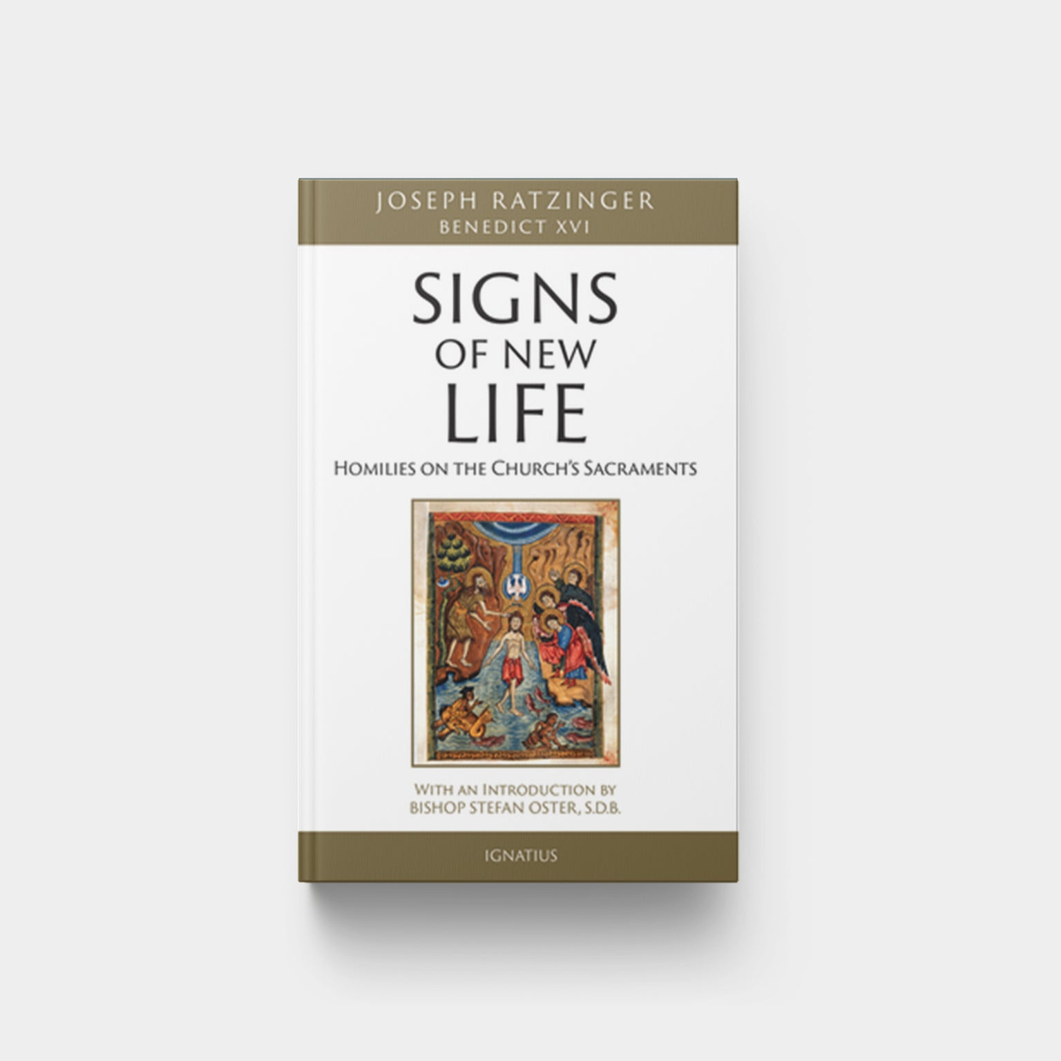 Image for Signs of New Life