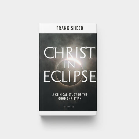 Image for Christ in Eclipse