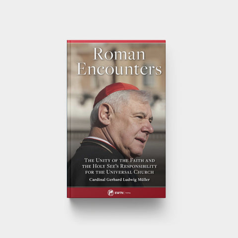 Image for Roman Encounters