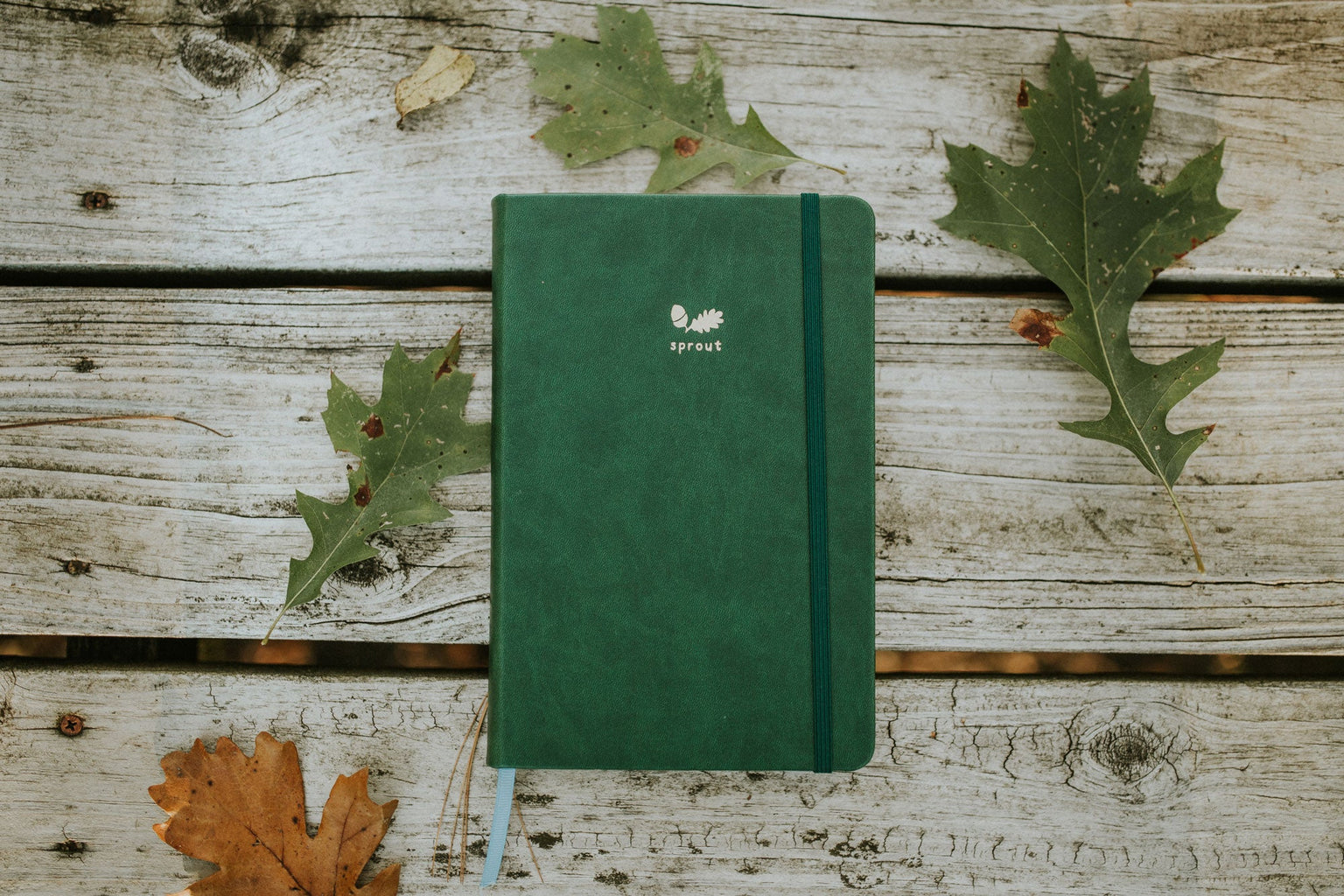 Sprout Journal for Kids