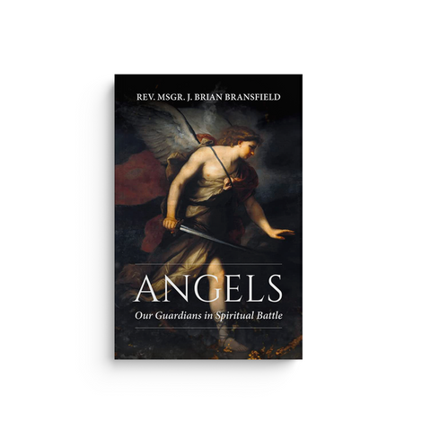 Angels: Our Guardians in Spiritual Battle
