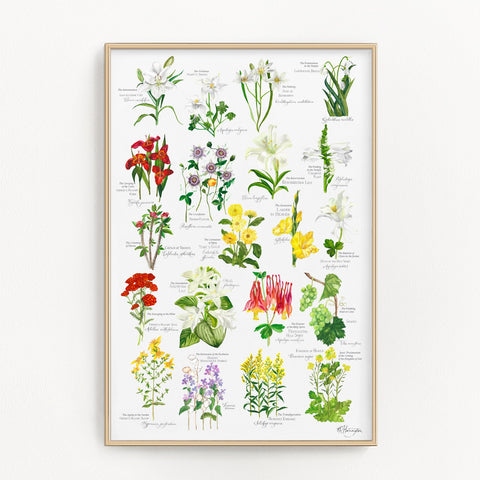 Botanical Rosary Poster - Complete