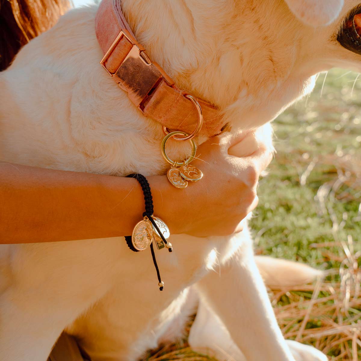 Pet Blessings Woven Bracelet & Pet Tag Set