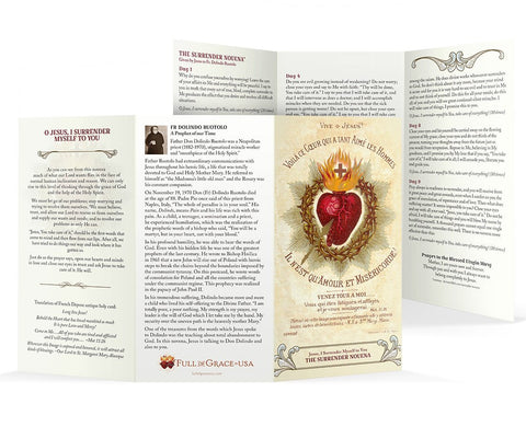 Large Font Surrender Novena Trifold Holy Cards